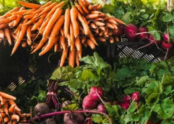 Guatemala y Nicaragua abastecen a Honduras con verduras por baja producción local