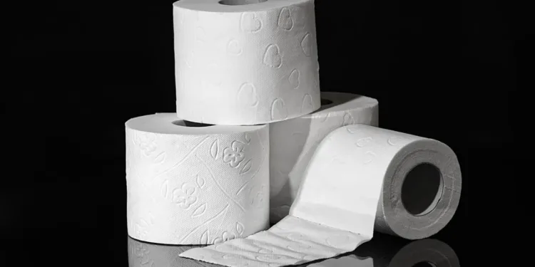 El Salvador y Guatemala son los mayores exportadores de papel higiénico de América Latina