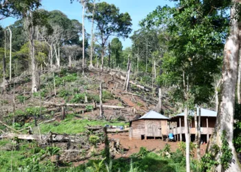 Deforestación del Refugio de Vida Silvestre Río San Juan, Nicaragua.