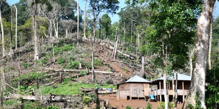 Informe revela destrucción de reserva “protegida” de Nicaragua