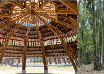 Taiwán impulsa créditos de carbono con bosques de bambú en Guatemala