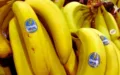 Chiquita Panamá suspende operaciones y despide a todo su personal