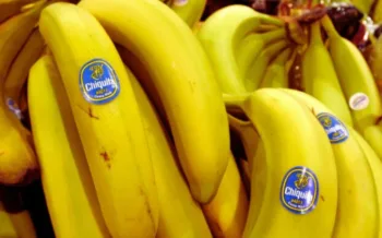 Chiquita Panamá suspende operaciones y despide a todo su personal