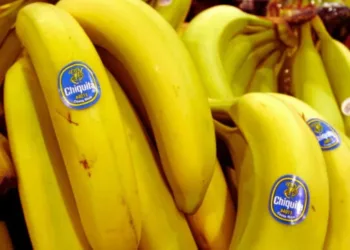 Chiquita Panamá suspende operaciones y despide a todo su personal