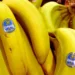 Chiquita Panamá suspende operaciones y despide a todo su personal