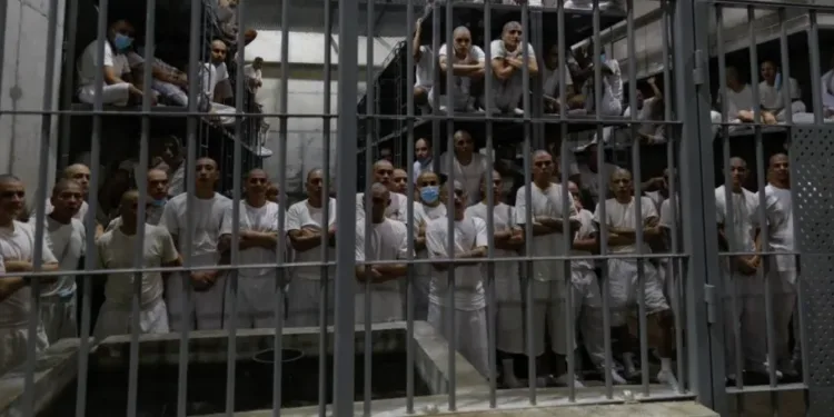 ONG demandan acuerdo entre EEUU y El Salvador por considerar que viola derechos de migrantes detenidos