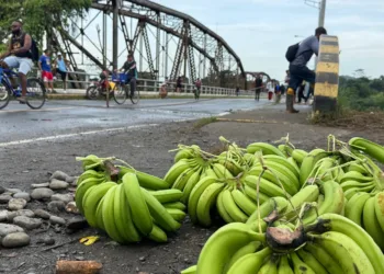 Huelguistas de sindicatos bananeros acuerdan levantar huelga y retirar bloqueos en provincia panameña