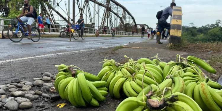 Huelguistas de sindicatos bananeros acuerdan levantar huelga y retirar bloqueos en provincia panameña