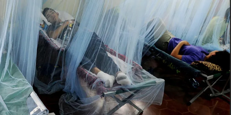 Honduras registra alza del 30% en casos de dengue mientras región reporta baja
