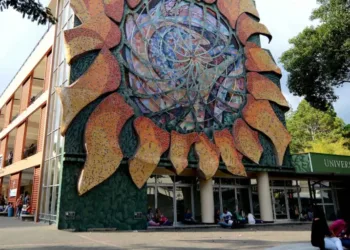 Costa Rica es el segundo país latinoamericano con mayor asistencia en educación superior