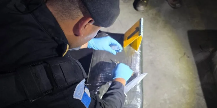 Incautan en Guatemala envío de marihuana hacia República Dominicana desde puerto de Izabal