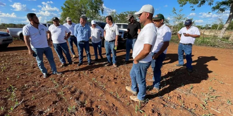 Taiwán y Guatemala impulsan instalación de laboratorio agrícola en Petén