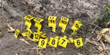 Honduras registra 18 masacres que han dejado 64 muertos en lo que va de 2025