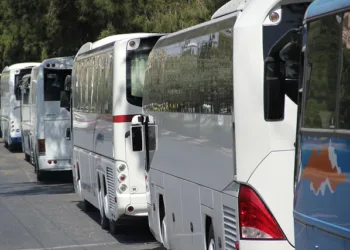 Una startup guatemalteca busca conectar Centroamérica con buses económicos