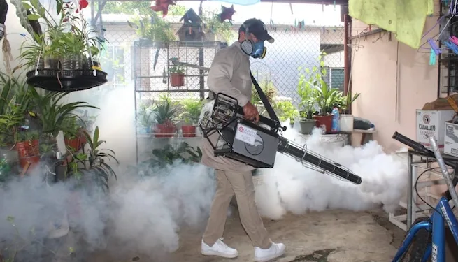 Suben a 11 las muertes por dengue en Panamá y superan los 7,000 casos en 2025