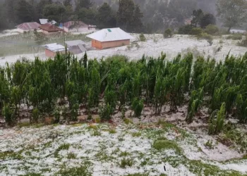 Guatemala: Granizada afecta viviendas y cultivos en San Marcos y Quetzaltenango