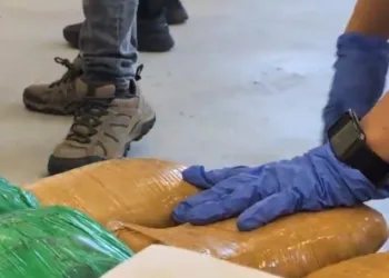 Autoridades decomisan más de una tonelada de droga en Costa Rica