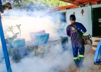 Confirman en El Salvador la primera muerte por dengue en 2025