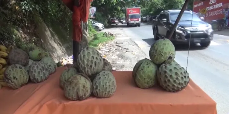 Anona a precio de lujo: La fruta de temporada que desata memes y debates en El Salvador