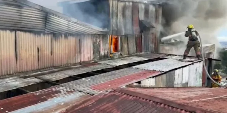 Mueren madre y tres hijos en incendio en Costa Rica