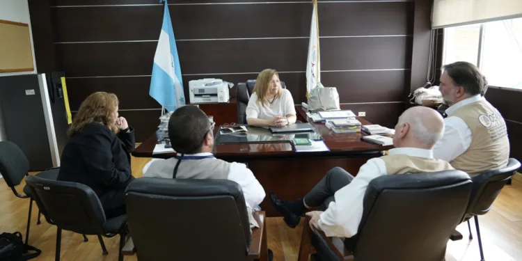 Misión de la OEA se reúne con consejeros electorales en Honduras