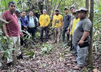 Hallan restos humanos en Tikal que serían de turista estadounidense desaparecido en 2023