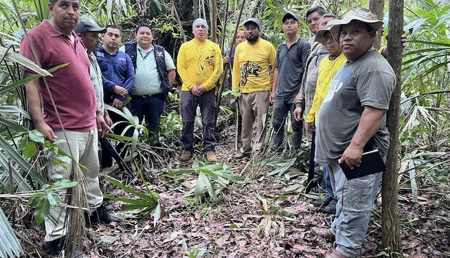 Hallan restos humanos en Tikal que serían de turista estadounidense desaparecido en 2023