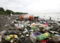La costa del Pacífico de Centroamérica es la más contaminada por botellas plásticas en Latinoamérica