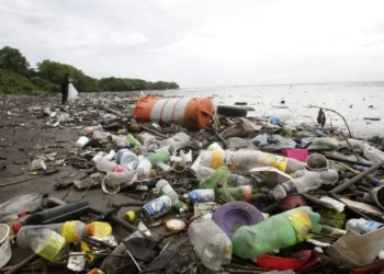 La costa del Pacífico de Centroamérica es la más contaminada por botellas plásticas en Latinoamérica