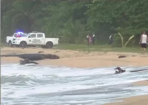 muere ahogado actor en costa rica