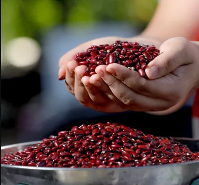 Los salvadoreños son los mayores consumidores de frijoles en Centroamérica