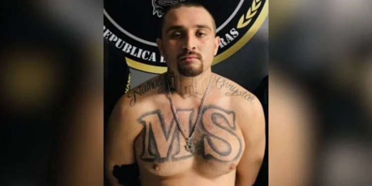 Un cabecilla de la Mara Salvatrucha fue condenado a 30 años de prisión en Honduras