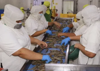 Las exportaciones hondureñas a China en tres años y medio no alcanzan los niveles que mantenía Honduras con Taiwán en un año