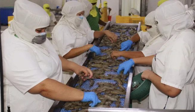 Las exportaciones hondureñas a China en tres años y medio no alcanzan los niveles que mantenía Honduras con Taiwán en un año