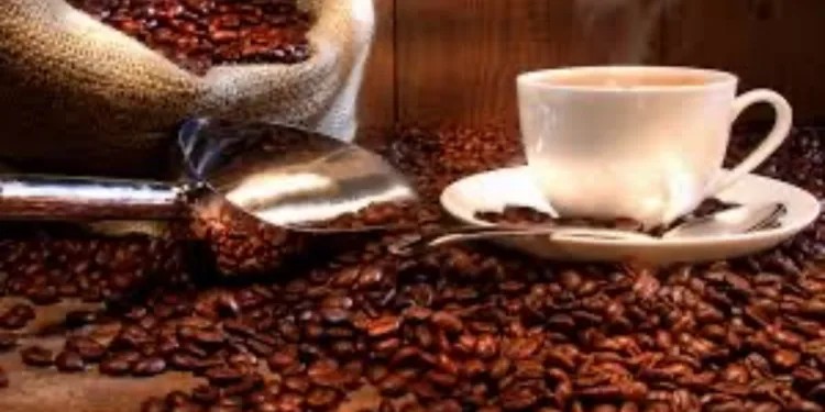 Café Geisha de Panamá alcanza precio récord mundial de $30,204 por kilo en subasta internacional