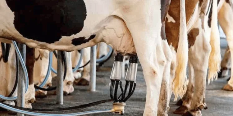 Nestlé acuerda compra de leche a productores de Panamá, confirma presidente Mulino