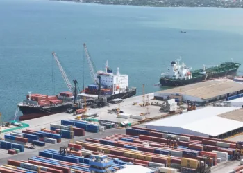 Cámara de Comercio de Guatemala interpone amparo constitucional por huelga en Puerto Santo Tomás de Castilla