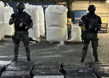 Caso narcotráfico Ecuador-Guatemala: contenedor con cocaína fue contaminado en puerto de Guayaquil