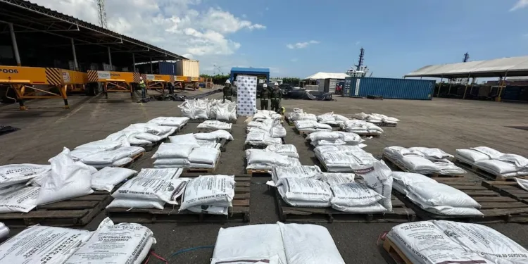Colombia incauta cinco toneladas de droga que tenía como destino Europa y Centroamérica: estaba camuflada en alimentos