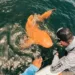 Pescadores descubren raro tiburón naranja en costas de Costa Rica