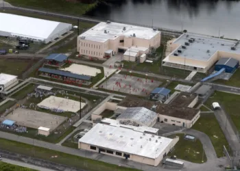 Guatemaltecos detenidos en Alligator Alcatraz no son criminales: Cancillería verificó que no tienen antecedentes