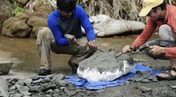 Descubren fósil de pez de 6 millones de años que redefine la formación del Istmo de Panamá