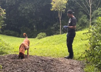 Costa Rica: pareja alemana asesinada en finca de conmociona al país y alerta al turismo