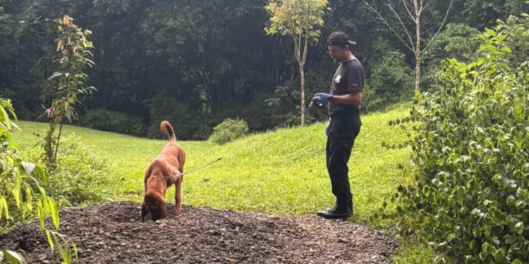 Costa Rica: pareja alemana asesinada en finca de conmociona al país y alerta al turismo