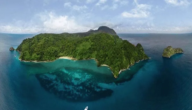 Turista mexicano sufre grave ataque de tiburón mientras buceaba en isla del pacífico de Costa Rica