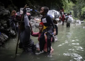 Más de 500 migrantes murieron en el Darién: Panamá busca identificar 220 cuerpos recuperados en la selva