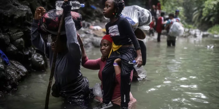 Más de 500 migrantes murieron en el Darién: Panamá busca identificar 220 cuerpos recuperados en la selva