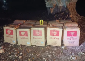 Nicaragua es uno de los países más vulnerables al comercio ilícito a nivel mundial