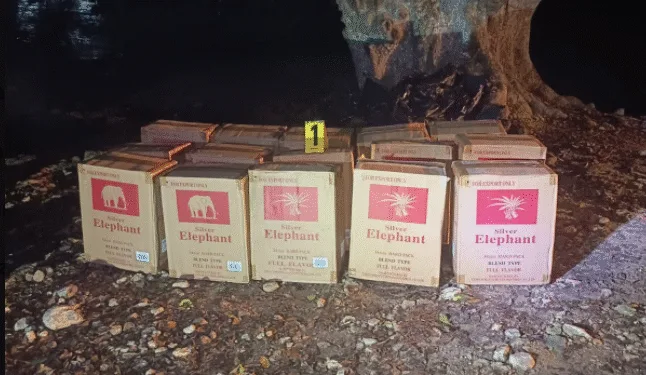 Nicaragua es uno de los países más vulnerables al comercio ilícito a nivel mundial