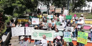 La Universidad de El Salvador pide a China respetar el medio ambiente por construcción en reserva forestal de la capital salvadoreña